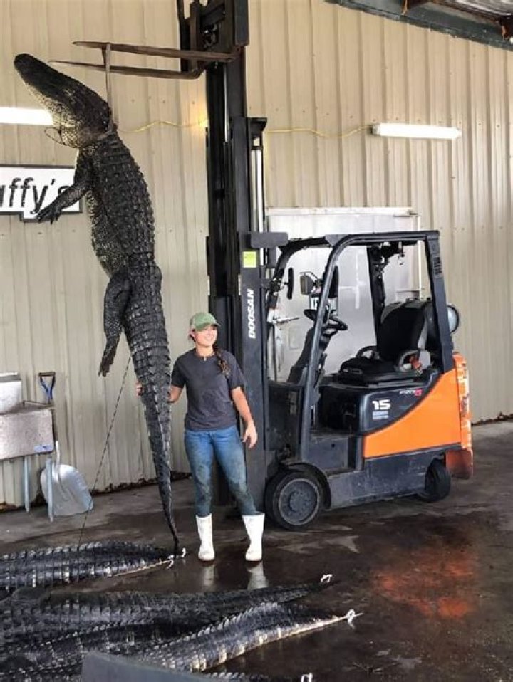 Danimal Lector Height, Weight, Net Worth, Age, Birthday, Wikipedia, Who, Instagram, Biography