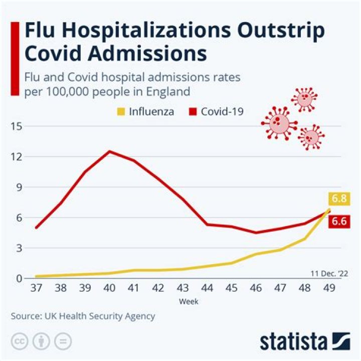 
Flu Hospitalizations Increased 30% Nationwide in One Week 